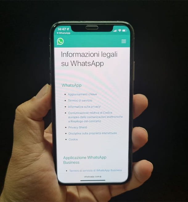 Términos e información de privacidad de WhatsApp