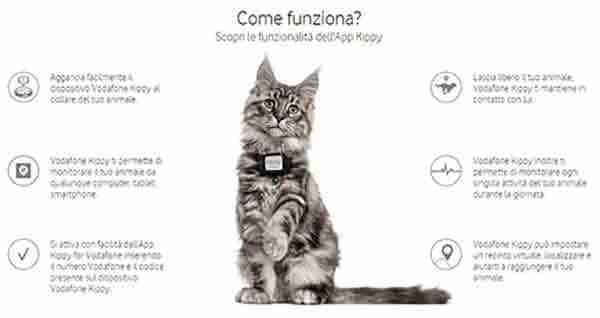 Localizador GPS-para-perros-y-gatos-Vodafone-Kippy-C
