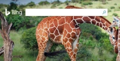 Come ottenere le immagini del giorno di Bing come sfondo su Windows 10 2