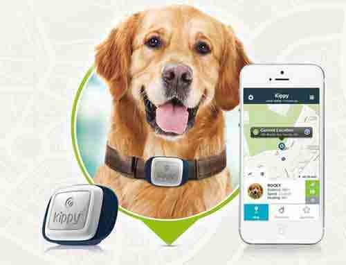 Localizador GPS-para-perros-y-gatos-Vodafone-Kippy-Un