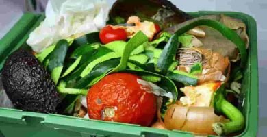 Aplicación de alimentos expirados contra el desperdicio de alimentos