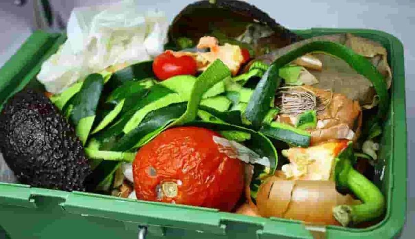 Aplicación de alimentos expirados contra el desperdicio de alimentos